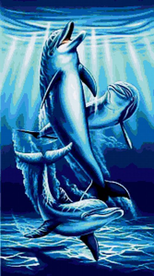 Дельфины - вода, природа, дельфины, волны, море - предпросмотр