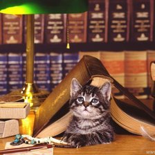 Схема вышивки «почитаем?»