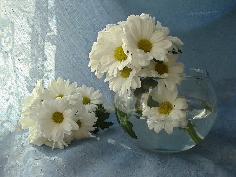 цветы - оригинал