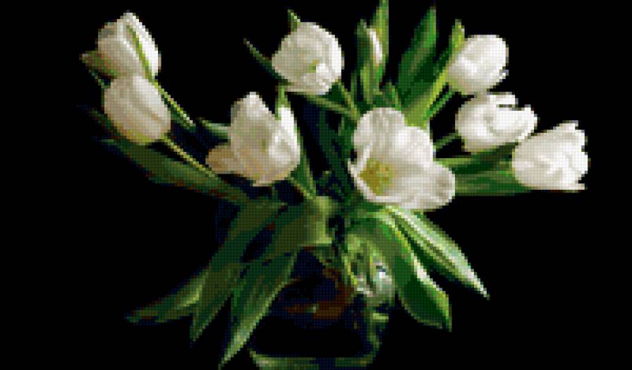 тюльпаны - предпросмотр