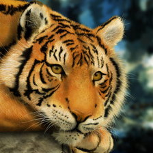 Схема вышивки «скучает»