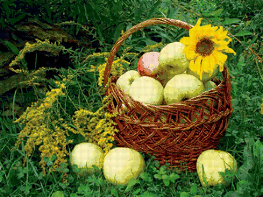 урожай - фрукты, урожай, яблоки, корзина - предпросмотр
