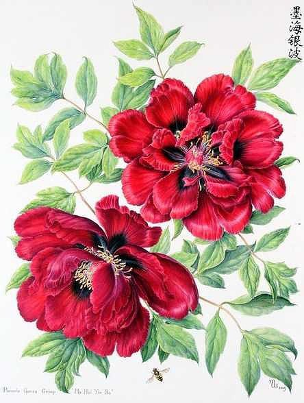 №282450 - оригинал