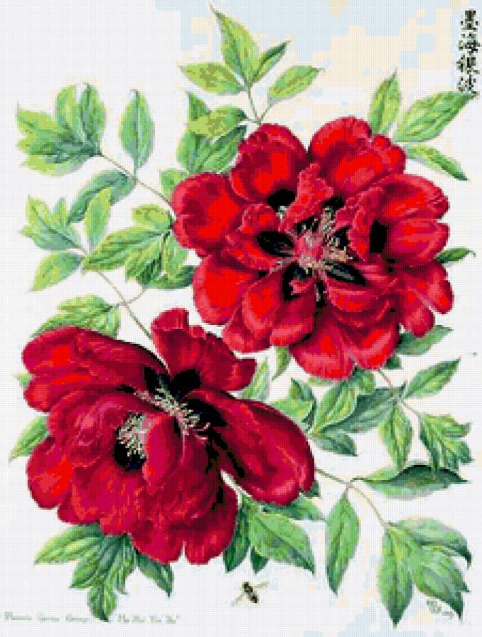 №282450 - предпросмотр