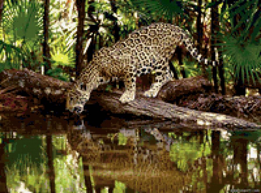 №282561 - предпросмотр