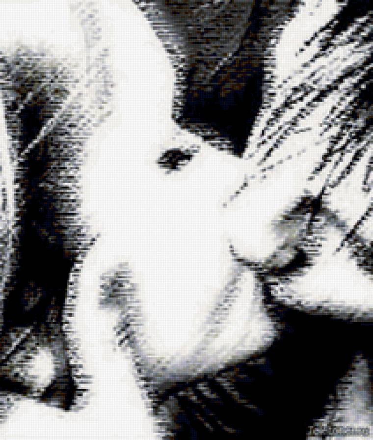 Поцелуй - предпросмотр