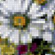 Предпросмотр схемы вышивки «Полевые цветы» (№282591)