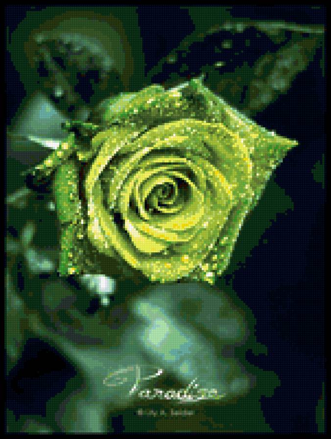 серия "цветы" - цветы, весна - предпросмотр