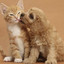 Схема вышивки «№282768»