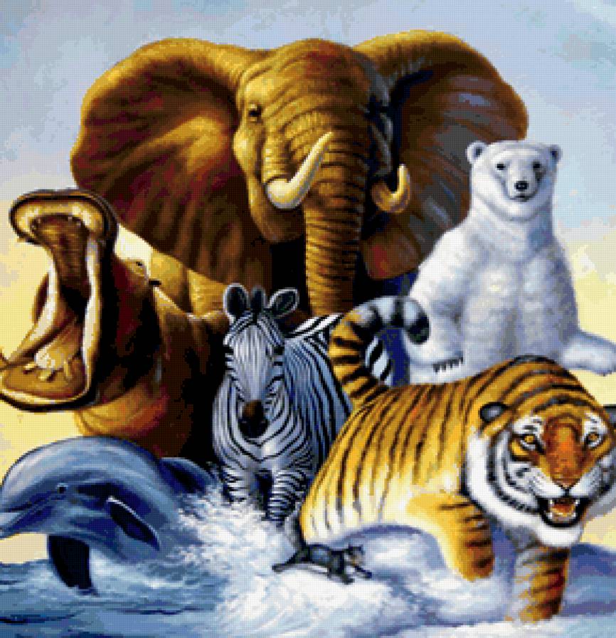 Животные, тигр - тигр, животные - предпросмотр