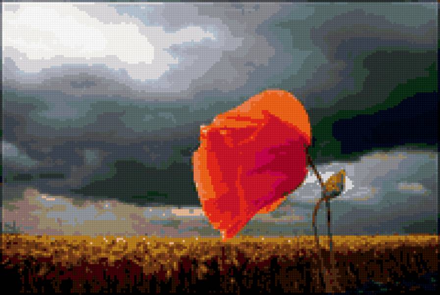 серия "цветы" - небо, пшеница, мак, цветы - предпросмотр