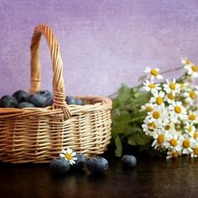 Схема вышивки «№282902»