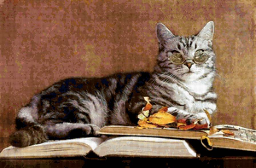 профессор - кошачьи - предпросмотр