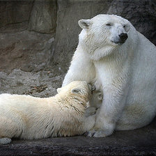 Схема вышивки «мать и дитя»