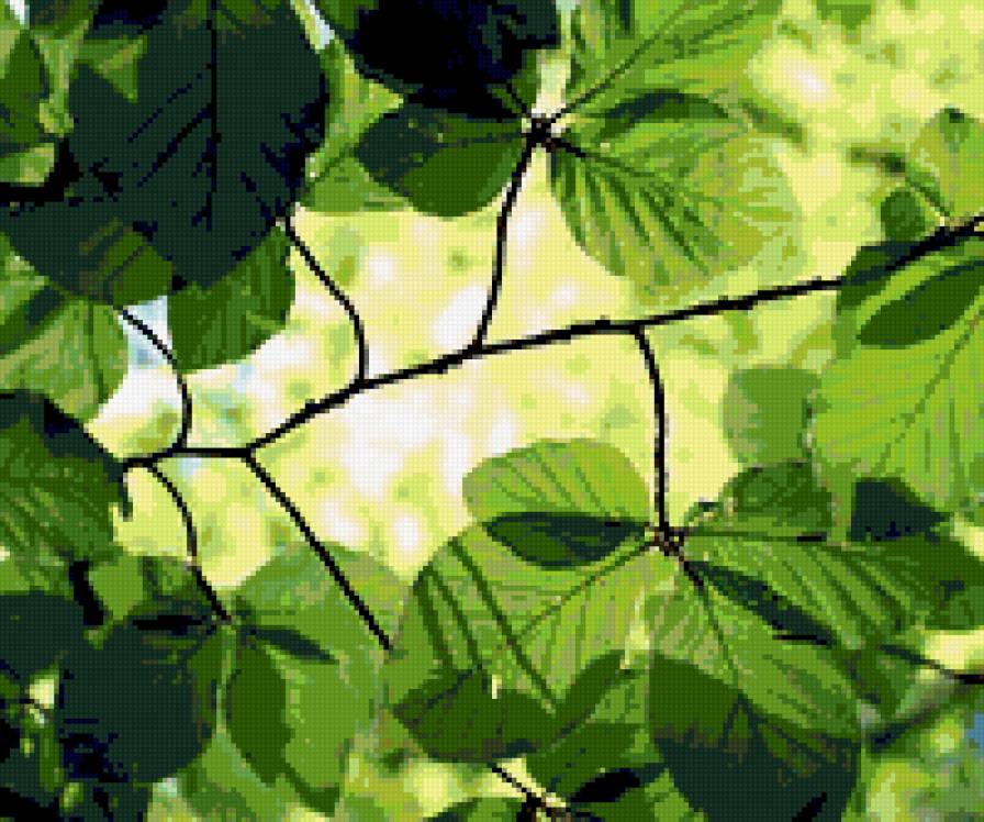 листья - предпросмотр