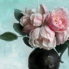 Схема вышивки «розы»