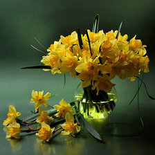 Схема вышивки «Нарциссы»