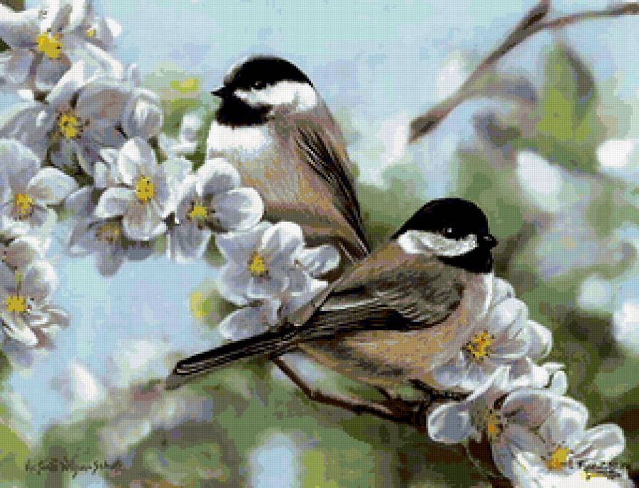 №283345 - птицы, весна., цветы - предпросмотр