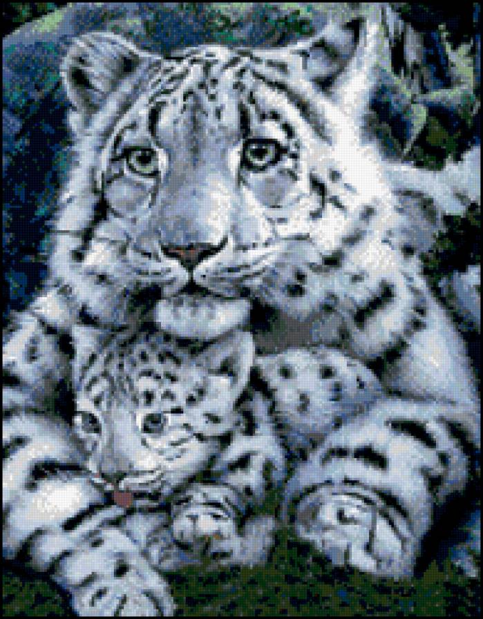 тепло мамы - коты, леопарды - предпросмотр