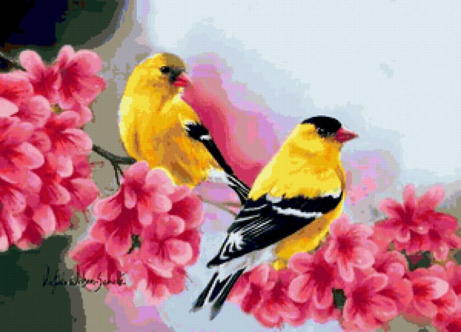 №283380 - птицы, весна., цветы - предпросмотр
