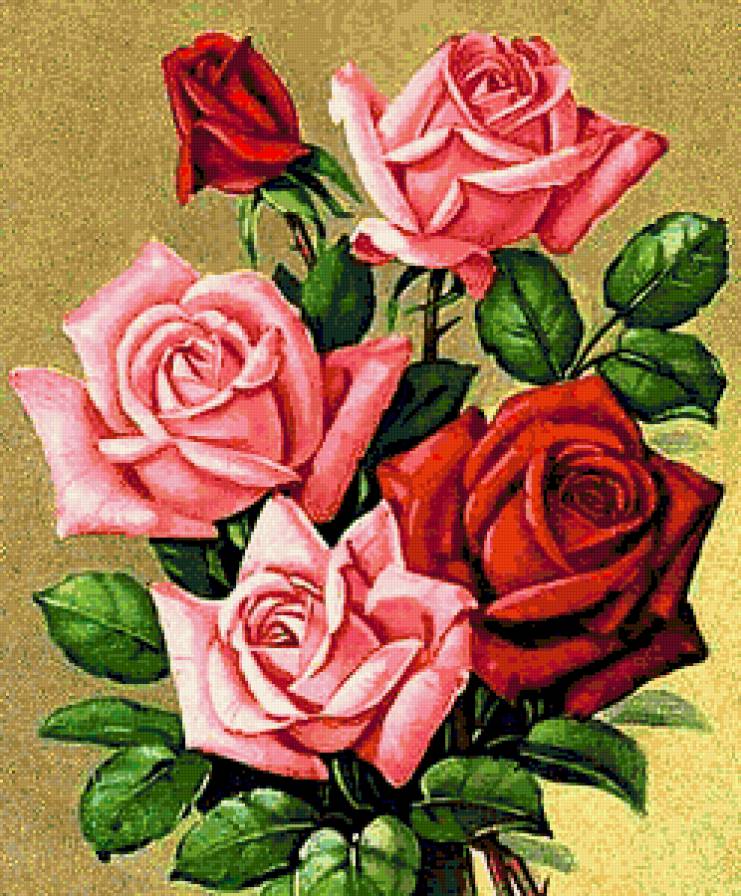 розы - предпросмотр