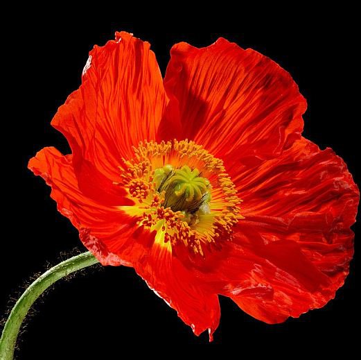 №283545 - оригинал