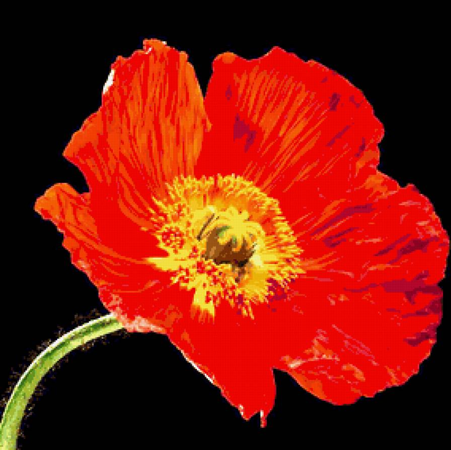 №283545 - предпросмотр