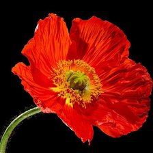 Схема вышивки «№283545»