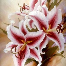 Схема вышивки «ЛИЛИИ»