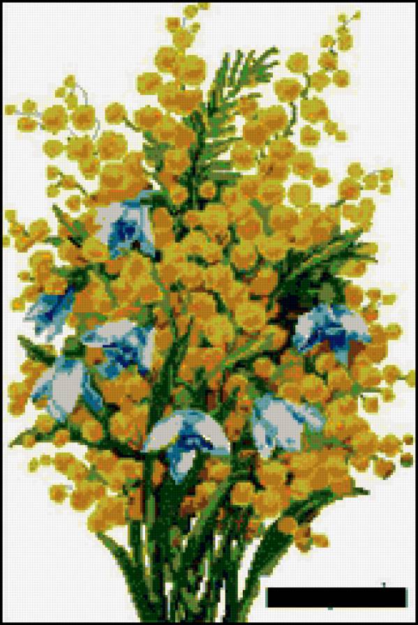 Мимозка - мимоза - предпросмотр