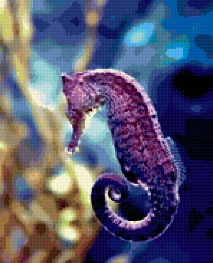 морской конек - море - предпросмотр