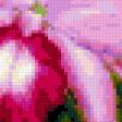 Предпросмотр схемы вышивки «цветы» (№283935)