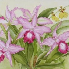 Схема вышивки «цветы»