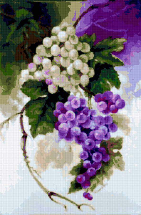 виноград - картина - предпросмотр