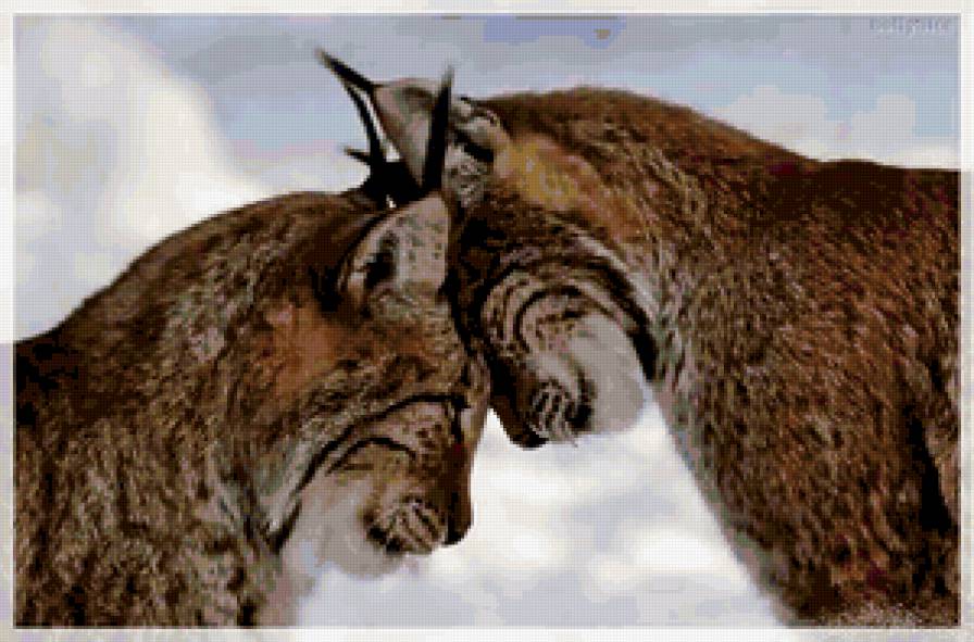 №284026 - предпросмотр