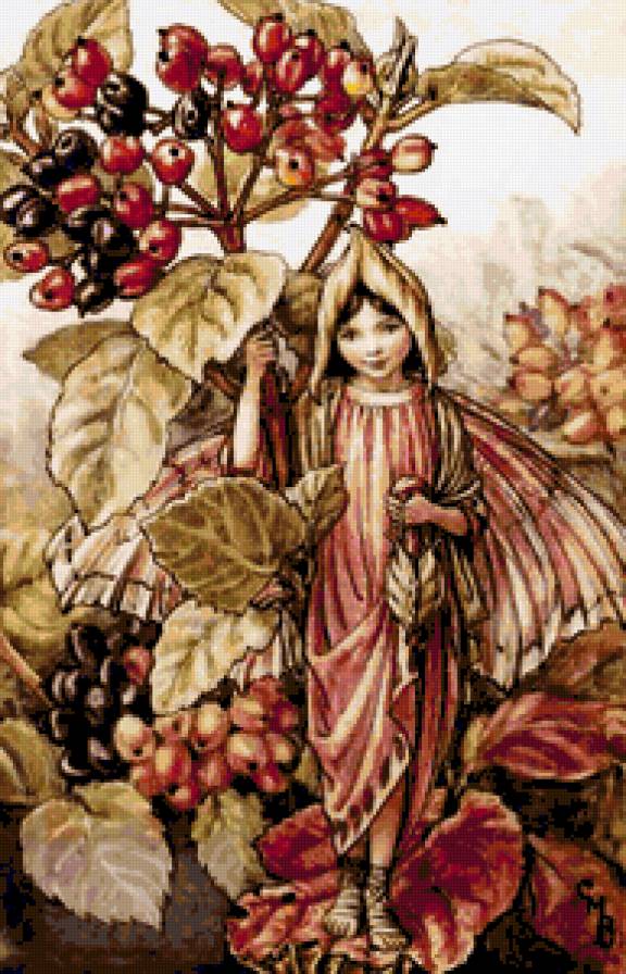 Цветочные феи - предпросмотр