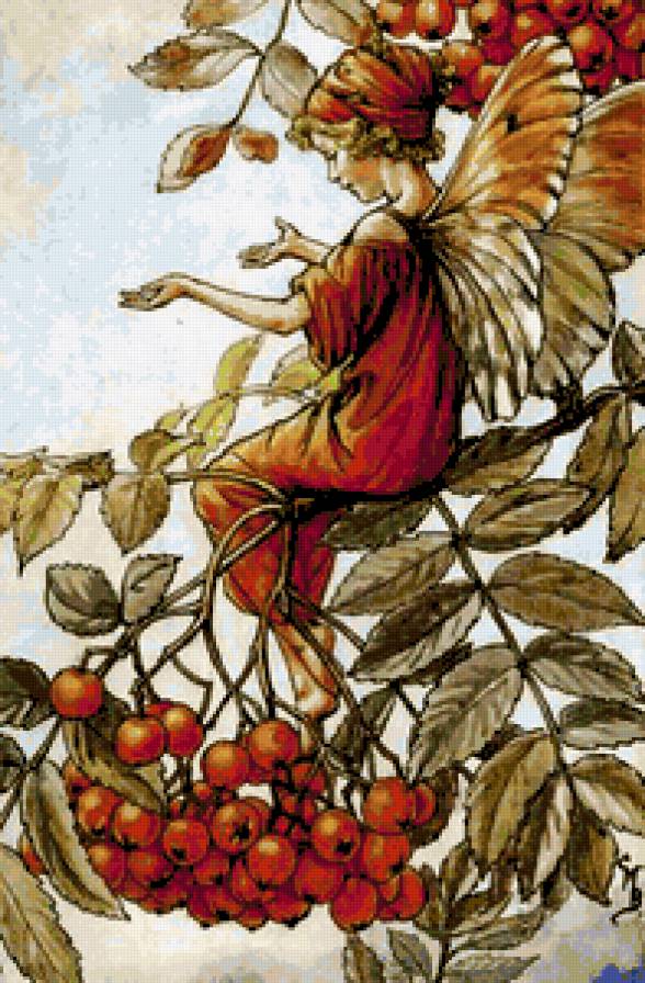 Цветочные феи - цветочные феи - предпросмотр