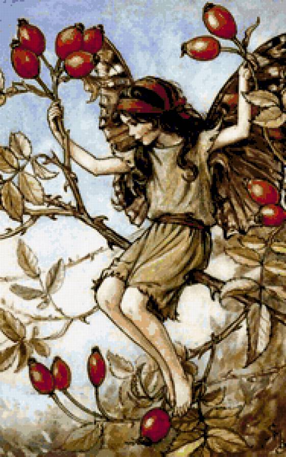 Цветочные феи - цветочные феи - предпросмотр