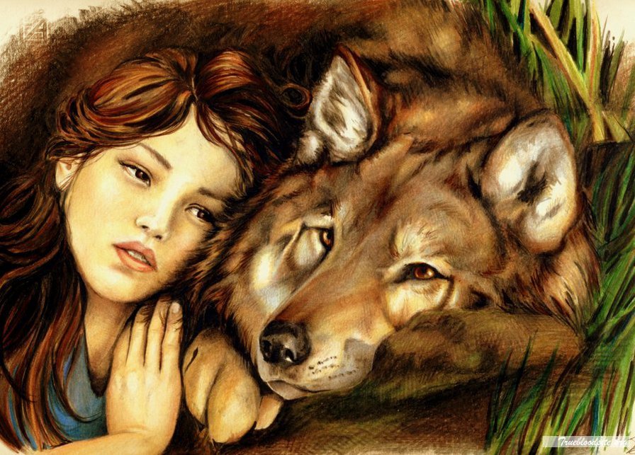 Девочка и волк - девушка, животные - оригинал