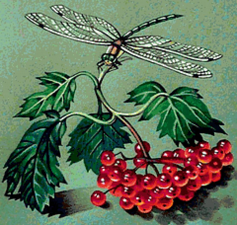 Стрекоза - ягоды, стрекоза - предпросмотр