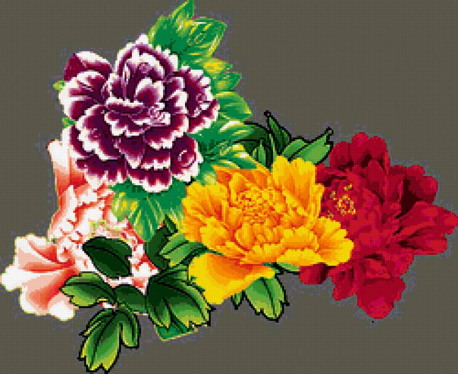 Красивые пионы - пионы, цветы - предпросмотр