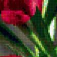 Предпросмотр схемы вышивки «Красные тюльпаны» (№284403)