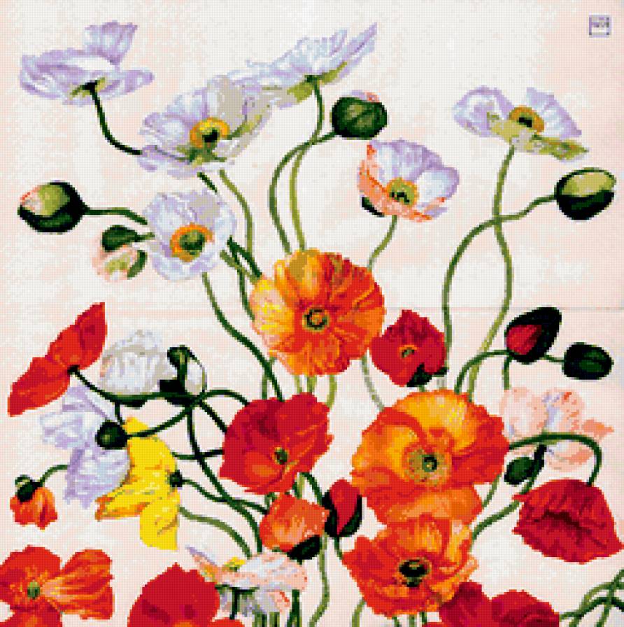 Маки - цветы, подушка, декор, маки - предпросмотр