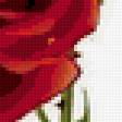 Предпросмотр схемы вышивки «розы» (№284577)