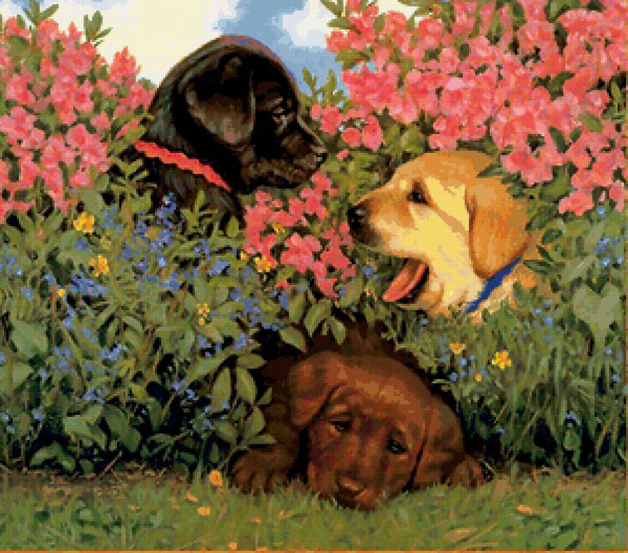 три товарища - собачьи - предпросмотр