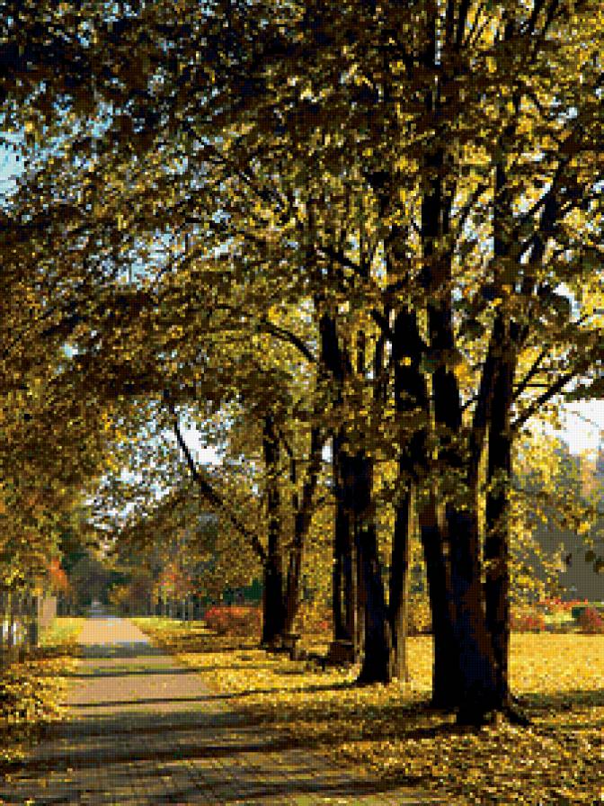 аллея - природа - предпросмотр