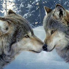 Схема вышивки «влюбленные волки»
