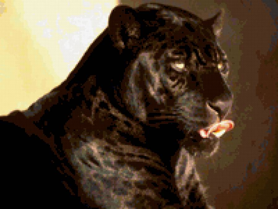 ПАНТЕРА - предпросмотр