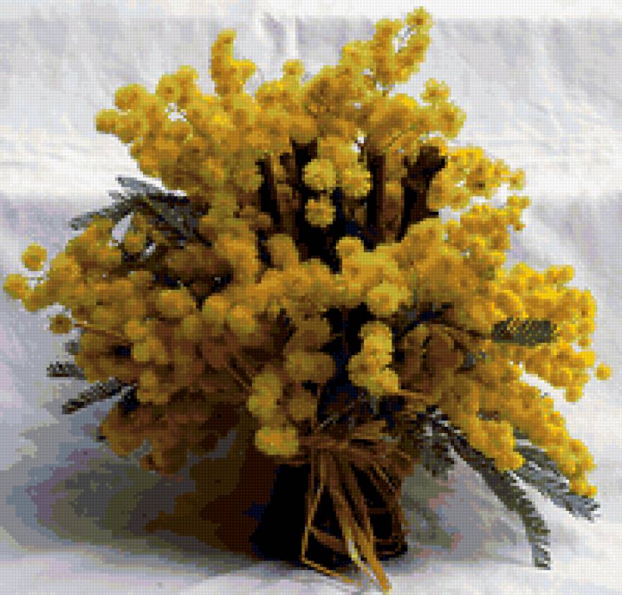 мимоза - предпросмотр