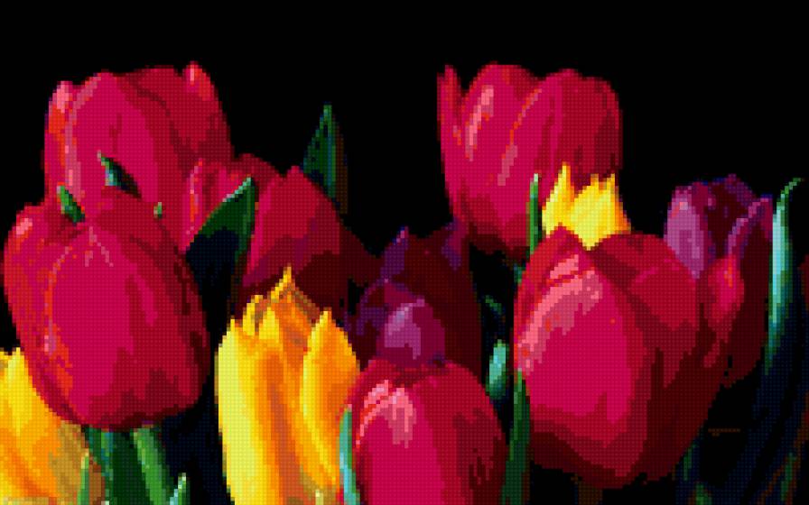 Тюльпаны - букет тюльпанов - предпросмотр